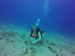 Hawaii Scuba divng 11