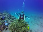 Hawaii Scuba divng 14