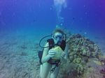 Hawaii Scuba divng 19