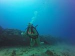 Hawaii Scuba divng 20