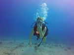 Hawaii Scuba divng 23