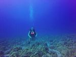 Hawaii Scuba divng 24