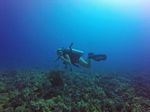 Hawaii Scuba divng 25