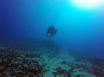 Hawaii Scuba divng 28