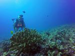 Hawaii Scuba divng 30