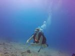 Hawaii Scuba divng 34