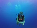 Hawaii Scuba divng 39