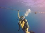 Hawaii Scuba divng 03