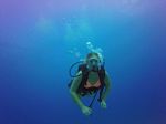 Hawaii Scuba divng 40