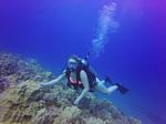 Hawaii Scuba divng 42