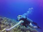 Hawaii Scuba divng 43