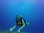 Hawaii Scuba divng 46