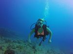 Hawaii Scuba divng 49