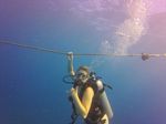 Hawaii Scuba divng 04