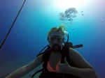 Hawaii Scuba divng 52