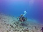 Hawaii Scuba divng 53