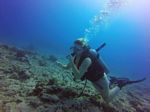 Hawaii Scuba divng 57