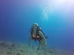 Hawaii Scuba divng 62