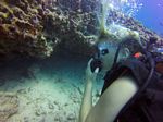 Hawaii Scuba divng 63