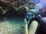 Hawaii Scuba divng 65