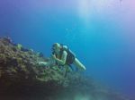 Hawaii Scuba divng 68