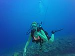 Hawaii Scuba divng 06