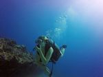 Hawaii Scuba divng 71