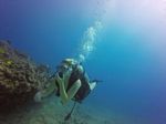 Hawaii Scuba divng 73