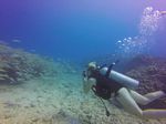 Hawaii Scuba divng 75