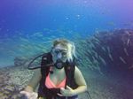 Hawaii Scuba divng 77