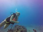 Hawaii Scuba divng 86