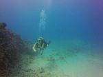 Hawaii Scuba divng 88