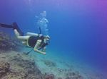 Hawaii Scuba divng 94