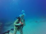 Hawaii Scuba divng 95