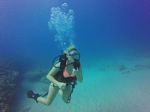 Hawaii Scuba divng 96