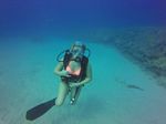 Hawaii Scuba divng 99