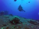 Hawaii Scuba divng 14