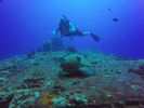 Hawaii Scuba divng 16