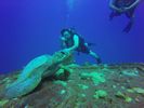 Hawaii Scuba divng 25