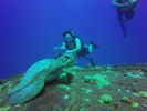 Hawaii Scuba divng 26