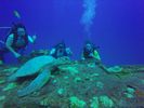 Hawaii Scuba divng 29