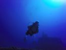 Hawaii Scuba divng 34