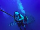 Hawaii Scuba divng 43