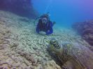 Hawaii Scuba divng 51