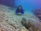 Hawaii Scuba divng 52