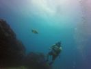 Hawaii Scuba divng 54