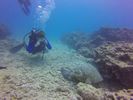 Hawaii Scuba divng 56