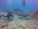 Hawaii Scuba divng 56