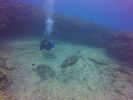 Hawaii Scuba divng 60