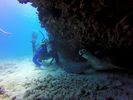 Hawaii Scuba divng 66